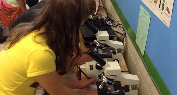 Examining plant cells